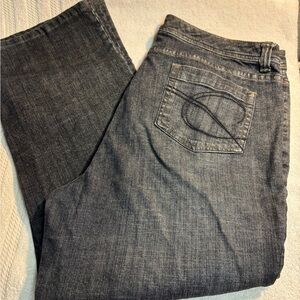 Chico’s Platinum Facet WS Dark Wash Jeans